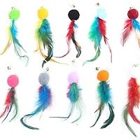 Cat Toys，10 Pieces Cat Feather Toys Natural Bird Feather Refill Worm Replacement Refill Cat Wand Toy Teaser Refills, Interactive Teaser Toy for Cats (Feather)