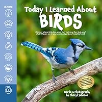 Today I Learned About Birds: Discover where birds live, what they eat, how they look, and what YOU can see in your own backyard and neighborhood.