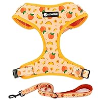 Dog Harness and Leash Set, Adjustable Dog Harness, Dog Leash, No Pull No Choke Puppy Harnesses for Walking Training for Small, Medium, Large Pet