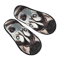 Cute Husky Furry Slippers for Men Women Fuzzy Memory Foam Slippers Warm Comfy Slip-on Bedroom Shoes Winter House Shoes for Indoor Outdoor Medium