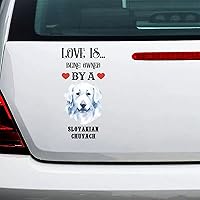 Slovakian Chuvach Love is Being Owned by A Dog Pet Dog Adhesive Vinyl Wall Stickers for Home Nursery, Positive Wall Decal Sticker for Women, Men Teen Girls Office Dorm Door Wall Decor 15in.