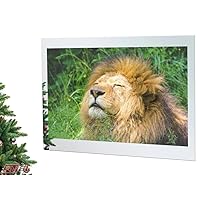 AVEL 75-Inch 4K LED Bathroom TV IP65 Waterproof Smart Mirror TV - Android OS, 500 cd/m2, WI-FI, HDMI, YouTube/Netflix Compatibility (Model, AVS750SM)