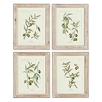MY SWANKY HOME Set of 4 Mediterranean Olive Branch Prints Wood Frames Rustic Cottage 22 in