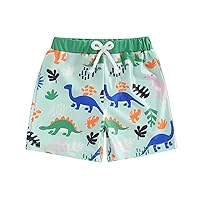 Toddler Kids Swim Trunks Baby Boy Cartoon Dinosaur Print Swimsuit Bathing Suit Summer Beach Shorts Clothes