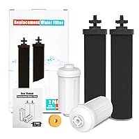 Water Filter Replacement for Berkey, 2 Carbon Filters and 2 Fluoride Filters Compatible with Berkey Gravity Water Filter System, Pack of 4