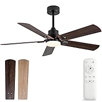 Ceiling Fans with Lights, 52 Inch Ceiling Fan with Remote, Modern Ceiling fan for Bedroom Living room, Black Ceiling Fan lights for Outdoor Indoor and 5 Blades Quiet Reversible DC Motor