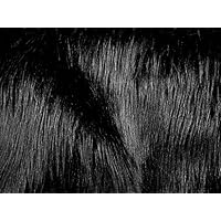 The Fabric Exchange Faux Fur Luxury Shag Black 60 Inch Wide Fabric by The Yard (F.E