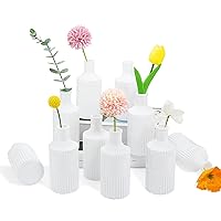 Glass Flower Vase Set of 10,Clear Bud Vases in Bulk,Mini Vintage Vase for Centerpieces, Home Table Flower Decor (White)