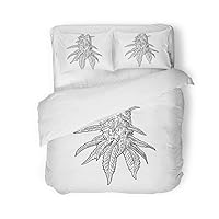Duvet Cover Set Queen/Full Size Marijuana Mature Plant Leaves and Buds Cannabis Vintage Black 3 Piece Microfiber Fabric Decor Bedding Sets for Bedroom