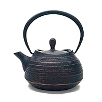 Southern iron teapot brush marks Hakeme 0.4L Copper Black (japan import)