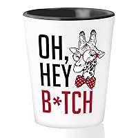 Witty Sarcastic Shot Glass 1.5oz - Oh, Hey Bch - Funny Sarcasm Adult Laugh Humor Irony Gag Rude Comedy Jokes Hilarious Rude Savage