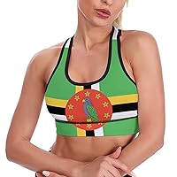 Dominican Flag Breathable Sports Bras for Women Workout Yoga Vest Underwear Crop Tops Gym