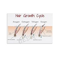 GEBSKI Hair Growth Cycle Poster Hair Loss And Hair Transplant Poster（1） Canvas Painting Posters And Prints Wall Art Pictures for Living Room Bedroom Decor 08x12inch(20x30cm) Unframe-style