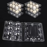 M MEINADILY Quail Egg Cartons, Quail Egg Cartons 100 Pack,Plastic