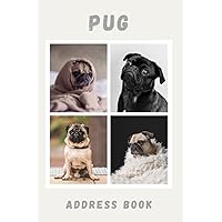 Pug Address Book: Perfect size 6