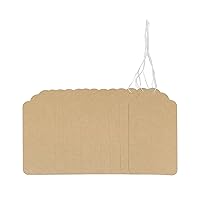 Kraft Paper Blank Tags, 100Pcs Writable Gift Tags with Natural Twine String,Lace Display Label for Price Tags Clothing Holiday Crafts 4 * 2 inches