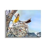 Hummingbird Nest Art Photography as Gift for Bird Lover