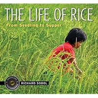 The Life of Rice: From Seedling to Supper (Traveling Photographer) The Life of Rice: From Seedling to Supper (Traveling Photographer) Hardcover