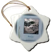 3dRose Thank You, Frog in a Pond Photo, Cattails Accent, Blue Frame - Ornaments (orn-286999-1)