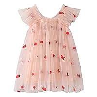 4t Girl Dress Toddler Girls Fly Sleeve Butterfly Fruits Embroidery Tulle Dress Dance Party Heart Dress Toddler
