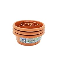 Zenport D300 Grow pots, Orange