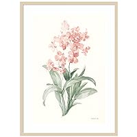 Amanti Art Wood Framed Wall Art Print Spring Orchid I by Danhui Nai (30 in. W x 41 in. H), Svelte Natural Frame - X-Large