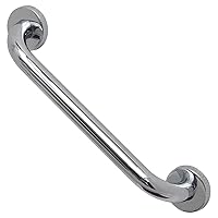 Stainless Steel Bath and Shower Straight Grab Bar-Concealed Mounting Snap Flange-1 Diameter x 11.8 Length Chrome