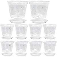 Orchid Pots 5.9 Inch 10 Sets Transparent Plastic Orchid Planter with Holes and Saucers Breathable Slotted Clear Plant Pots Medium Orchid Pots