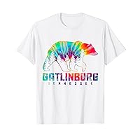 Gatlinburg Tennessee Tie Dye Bear Pride Outdoor Vintage T-Shirt