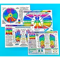 SET 4 CHARTS: REFLEXOLOGY-FOOT & HAND, CHAKRAS, & IRIDOLOGY (EYE Reflexology). in Inner Light Resources RAINBOW® Charts Series. 8.5 x 11 in. (Small Poster/ Large Cards)