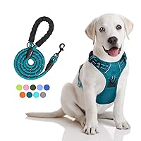 PoyPet No Pull Dog Harness and 5 Feet Leash Set, Release on Neck Reflective Adjustable Pet Vest, Front & Back 2 D-Ring and Soft Padded Pet Harness with Handle for Small to Large Dogs(Tumalo Teal,S)