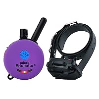 Educator E-Collar Humane Dog Training Collar with Remote, 100 Safe Tapping Stimulation Levels, Night Light, Waterproof, Rechargeable, 1/3 Mile 1 Small Dog, Purple