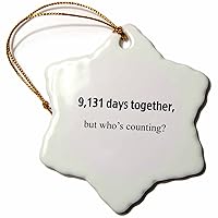 orn_112212_1 9, 131 Days Together But Who's Counting Happy 25th Anniversary Snowflake Porcelain Ornament, 3-Inch