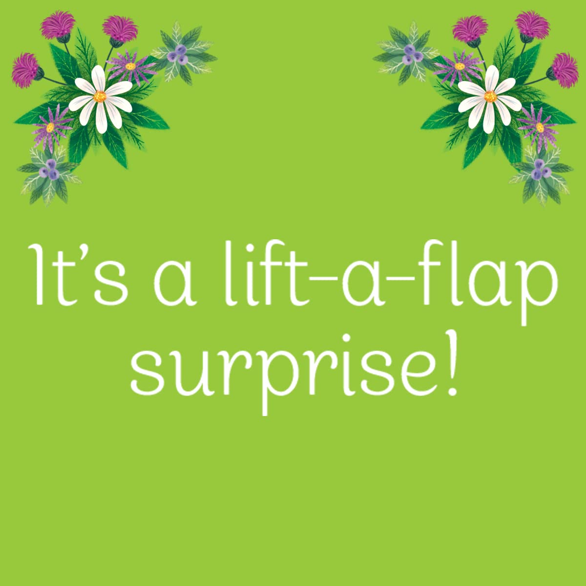 Summer In The Forest Deluxe Lift-a-Flap & Pop-Up Seasons Children's Board Book (Lift-a-flap Surprise)