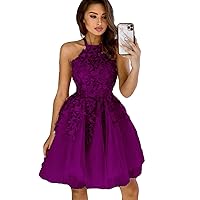 Women's Lace Applique Short Prom Party Dresses A Line Halter Mini Junior Homecoming Gown Tulle Skirt