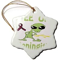 3dRose Super Funny Peeing Alien Supporting Causes for Meningitis - Ornaments (orn-120722-1)