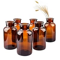 Set of 6 Amber Bud Vases, Small Glass Vases, Vintage Medicine Bottles Apothecary Jars with Brush, Flower Vases for Home Decor, Wedding Centerpieces