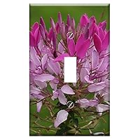 Switch Plate Single Toggle - Spider On A Flower Cleome Hassleriana Red