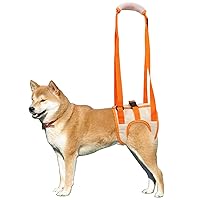 Dog Support Harness for Back Legs, Dog Sling for Small Medium Large Dogs Hind Leg Support, Dog Lifter for Rear Legs Mobility and Elderly Dogs (Orange, XL)