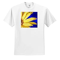 3dRose Photo of Yellow Maximilian Sunflower Petals on a Blue Background. - T-Shirts (ts_337322)