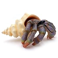 Gemini&Genius Sea Animal Hermit Crab Action Figure Toy for Kids, Soft Rubber Realistic Ocean Crab Educational and Role Play Toys for Kids and Collectors, Great Swimming and Bath Toys (Hermit Crab)