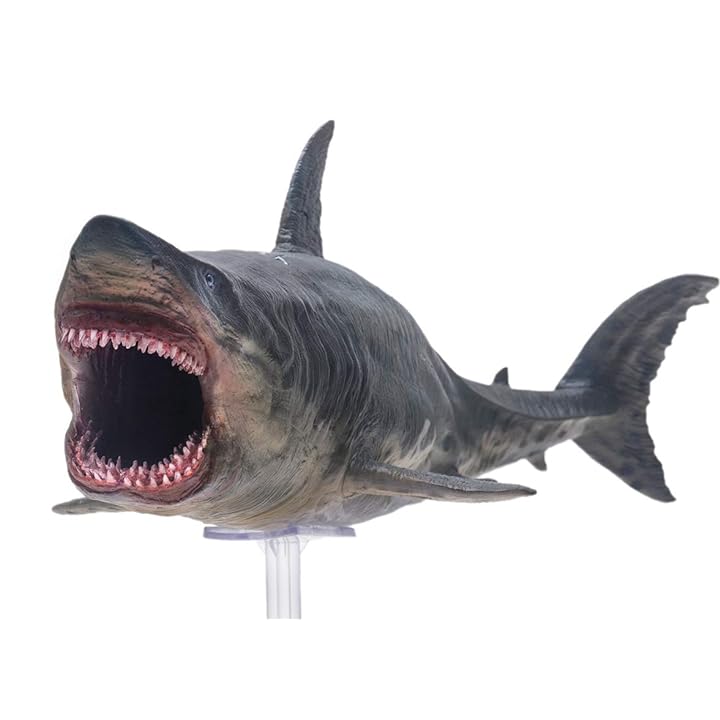Mua sea Animal (Patton The Megalodon (Big White Shark) 13