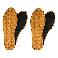 2 Pairs Thin Cinnamon Shoe Inserts for Stinky Feet- Insoles Foot Galadan Osimihome and Shoe Odor Inserts for Women and Men's Shoes for Sweaty Feet and Hyperhidrosis (Size 42)