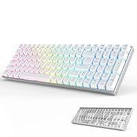 RK ROYAL KLUDGE Wireless Mechanical Keyboard RK100 Pro, 2.4G Bluetooth Wired Mechanical Gaming Keyboard 100 Keys CNC Frame, RGB Hot Swappable Keyboard for Windows Mac w/Software, Gateron Red Switch