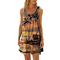 Summer Dresses for Women 2024 Printed Pleated Sun Dress Sleeveless Casual Dress Swing Vacation Trendy Dresses