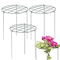 6 Pack 16 x 24 Inch Peony Support Cage Grow Through Plant Supports for Outdoor Plants Peony Ring Hoop Grow Through Grid Peony Stakes Green