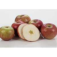Kauffman Orchards Fresh Mcintosh Apples, Hand-Picked New-Crop Wax-Free Heirloom Macintosh Apples (Box of 48)