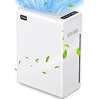 Air Purifiers for Home Large Room up to 1740ft², H13 HEPA Air Filter for Pets Hair Dander Smoke Pollen Dust, Ozone Free, Portable Air Purifiers for Bedroom Office Living Room, E-300L, White