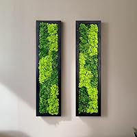 Moss Pattern Wall Art - Real Moss, Zero Maintenance - Eco-Friendly Natural Green Wall Decor - Moss Framed - Contemporary Wall Decoration with Living Plant (2)