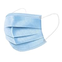 Face Mask, 100 Count (Blue)
